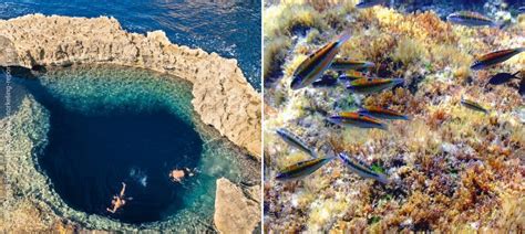 Snorkeling Malta | A Guide to the Best Spots | Snorkeling Report