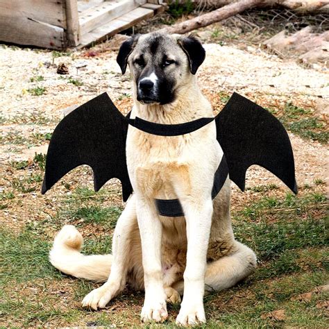 Dog Bat Costume Halloween Pet Costume Bat Wings Cosplay Dog | Etsy