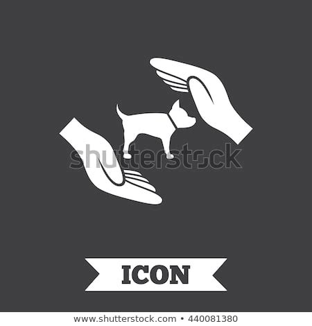 Shelter Insurance Logo Vector at Vectorified.com | Collection of ...