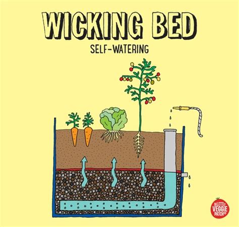 Wicking Beds 101 | The Little Veggie Patch Co in 2020 | Wicking beds, Wicking garden bed, Self ...