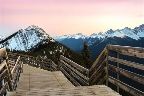 Banff Gondola (Sulphur Mountain Gondola) • Price, Tickets, & Information