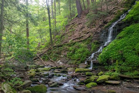 How to Get to Bridal Falls in Allegany State Park in Western New York ...