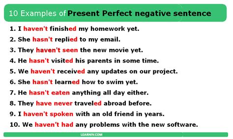 10 examples of present perfect negative sentences