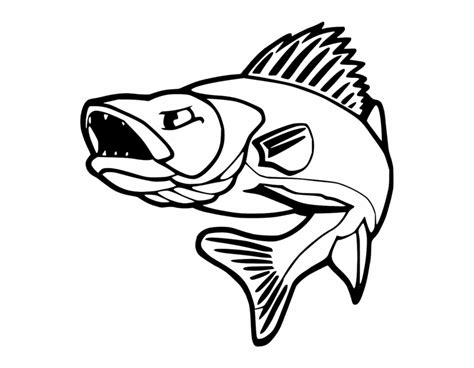 Walleye Vector at Vectorified.com | Collection of Walleye Vector free for personal use