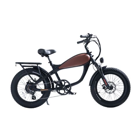 Revi Bikes (formerly Civi Bikes) Featuring Cheetah and Runabout Ebike ...