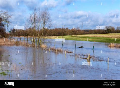 Flooding in Essex, River Colne Bursts Banks Stock Photo - Alamy