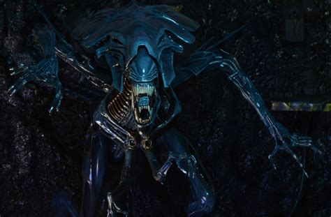 Aliens – Xenomorph Queen Ultra Deluxe Boxed Action Figure – NECAOnline.com