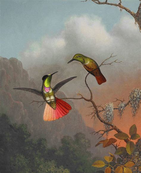 Two Hooded Visorbearer Hummingbirds Painting by Martin Johnson Heade - Pixels