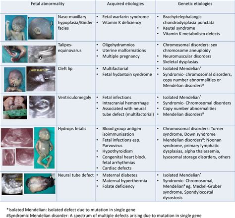 Genetic Clinics