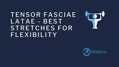 Tensor Fasciae Latae Stretch: Best Stretches For Flexibility