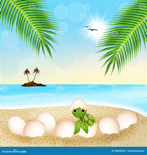 Sea Turtle Eggs on the Beach Stock Illustration - Illustration of summer, turtle: 52868539