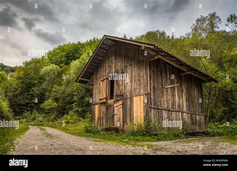 Old Wooden Shack on Forest Road Stock Photo - Alamy