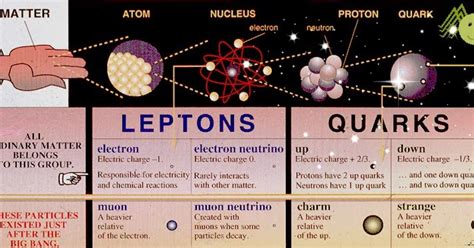 Quarks and Leptons: LEPTONS AT WORK