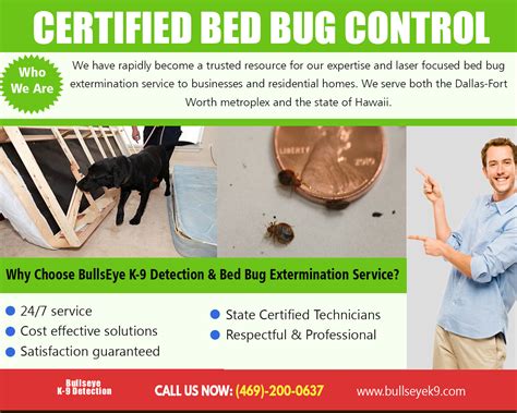 Bed bug exterminator Dallas identify and eliminate those pests rapidly - IssueWire