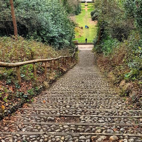 The historic Deepdene Trail in Dorking | Secret Carshalton