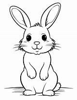 Easy Coloring Pages Animal Fo  Vrogueco sketch template