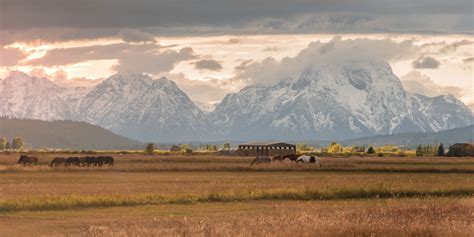 All the Ways to Experience Cowboy Culture in Wyoming | AMA Travel