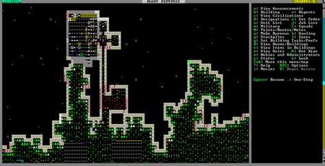 √ Dwarf Fortress Value