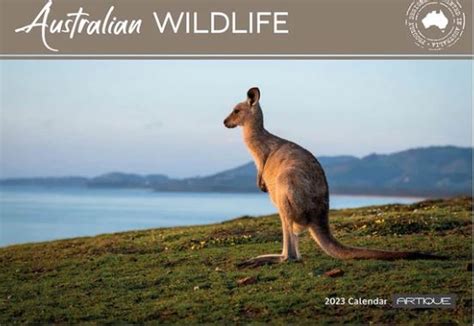 2023 Australian Wildlife Calendar :: Newsagency :: FindIt Marketplace