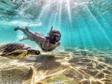 Swimming in the Fernando de Noronha's archipelago in the northeast of Brazil. Photo by Max ...