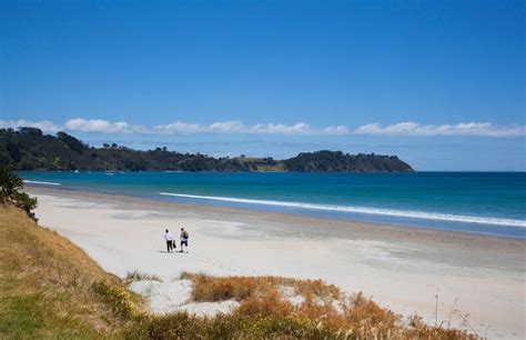 11 Best Beaches in Auckland | Celebrity Cruises