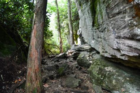 Off-The-Beaten Path: Deep Creek Hiking Trails | Railey Vacations