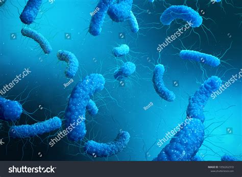 155 Gammaproteobacteria Images, Stock Photos & Vectors | Shutterstock