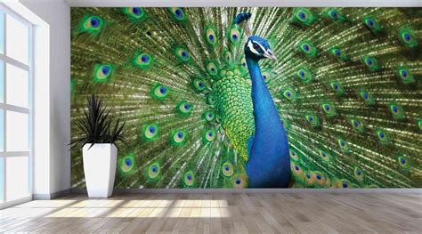 The Green Peacock Wallpaper | Evershine Wall