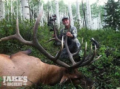 Biggest Bull Elk - Hunting Photos | goHUNT