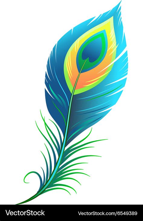 Peacock feather Royalty Free Vector Image - VectorStock