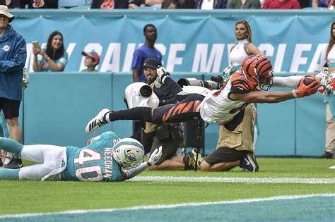 Bengals vs Dolphins: Week 13 Game Analysis | BetUS