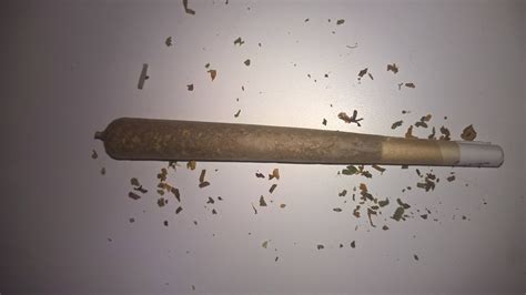 First time rolling a spliff /s : trees