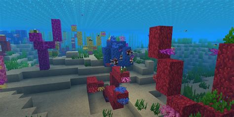 How To Find Coral Reefs In Minecraft