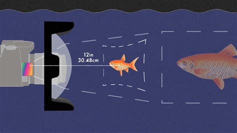 Why Your Lens May Need a +4 Diopter Underwater