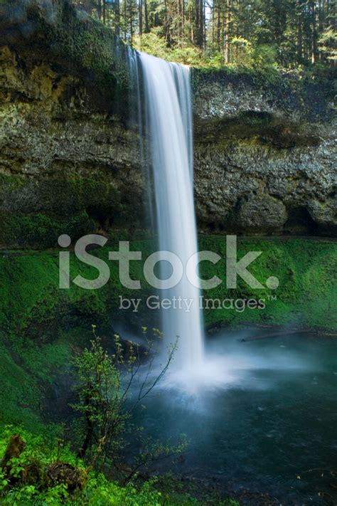 Silver Falls State Park, South Waterfalls Stock Photo | Royalty-Free ...