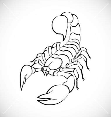 Abstract scorpion vector on VectorStock | Escorpion dibujo, Dibujos de ...