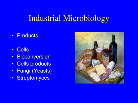 PPT - Industrial Microbiology PowerPoint Presentation, free download - ID:1776616