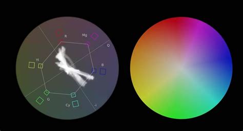 什么是Vectorscope？他们如何工作以及为什么需要一个 - csgo必威大师赛