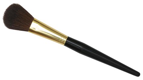 makeup brush PNG image