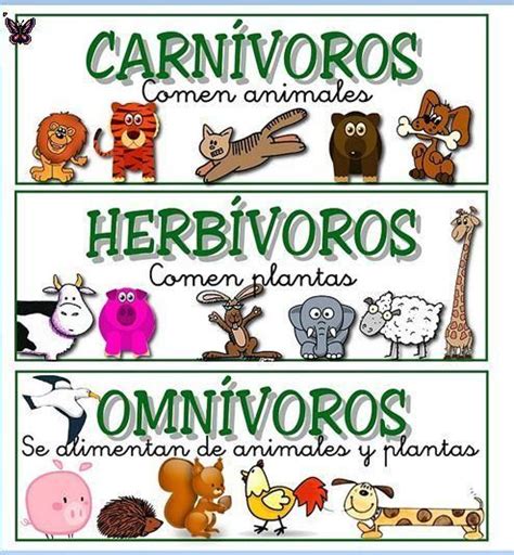 Animales Carnívoros, Herbívoros y Omnívoros (características y diferencias) | Cuadro Compara ...