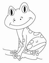 Tadpole Coloring Pages sketch template