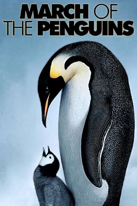 ‎March of the Penguins (2005) directed by Luc Jacquet • Reviews, film ...