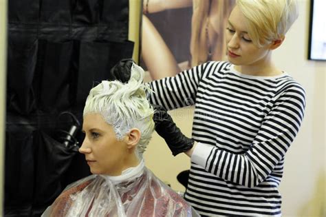 Hair Coloring in the Beauty Salon Stock Image - Image of hairstylist ...