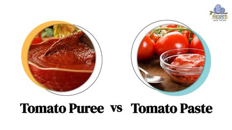 Tomato Puree vs. Paste: 3 Differences & When to Cook with Each