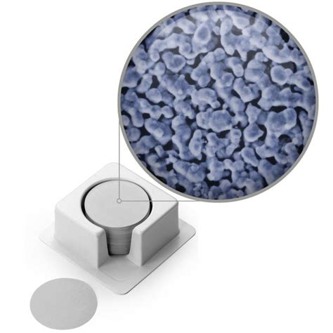 The various types of membrane filters and their uses | Blog