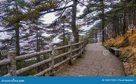 Mountain Paths in the Huangshan National Park. China Stock Photo - Image of huangshan, peak ...