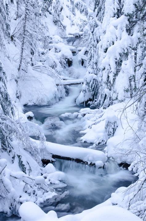 10 Amazing Snowshoe Trails in Oregon | Snow trails, Winter scenery ...