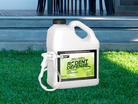 Best Rat Repellent for Garden: Top 5 Options in 2024 That Actually Work