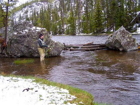 Yellowstone National Park Guided Fly Fishing Trips | Fish The Fly Guide Service