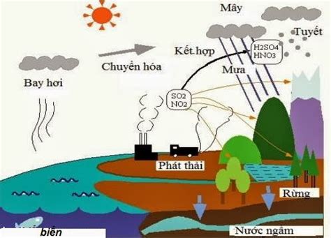 Quá trình hình thành và những tác hại của mưa axit. - Học tốt hóa học 8-9